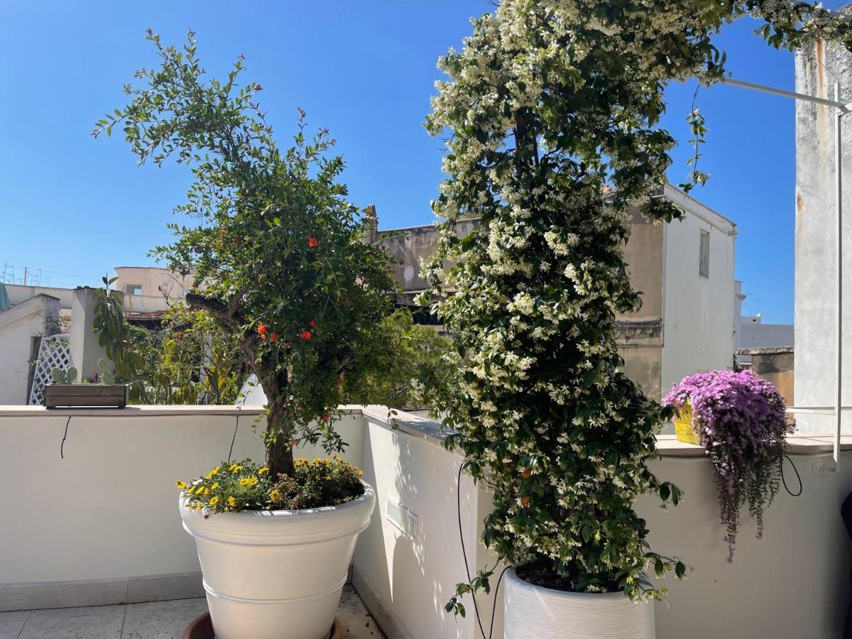 #Soloperte B&B Apartments 莫尔费塔 外观 照片